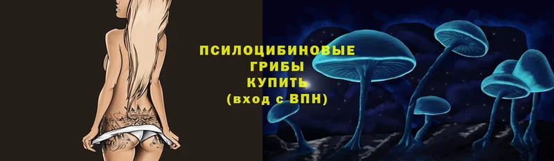 сайты даркнета официальный сайт  Дрезна  Галлюциногенные грибы Cubensis 